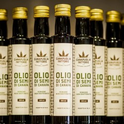Olio di semi di canapa