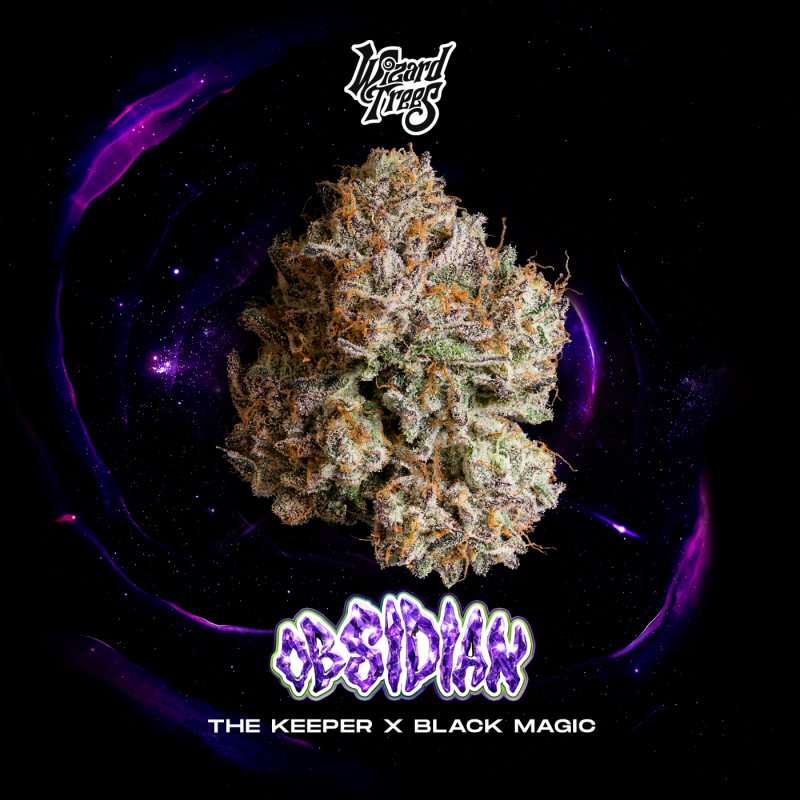 WIZARD TREES - OBSIDIAN