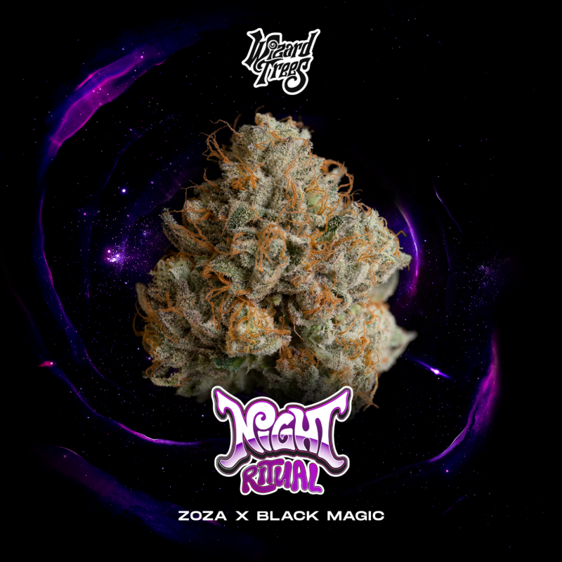 WIZARD TREES - NIGHT RITUAL