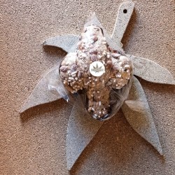 Colomba di Canapa Artigianale