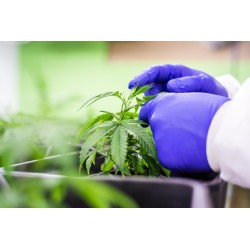 Corso Professionisti – Management Agroindustriale: Competenze Avanzate