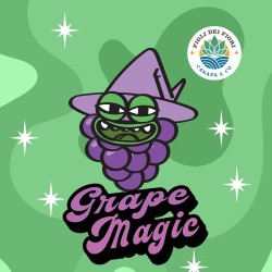 Grape magic - infiorescenza...