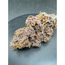Purple Haze Auto Fast Buds immagine 7