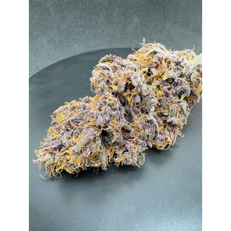 Purple Haze Auto Fast Buds immagine 7