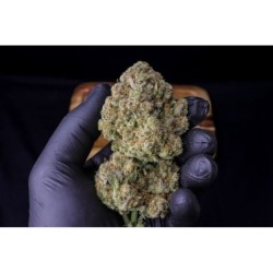 Strawberry Gorilla Auto Fast Buds immagine 5