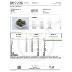Strawberry Gorilla Auto Fast Buds immagine 6