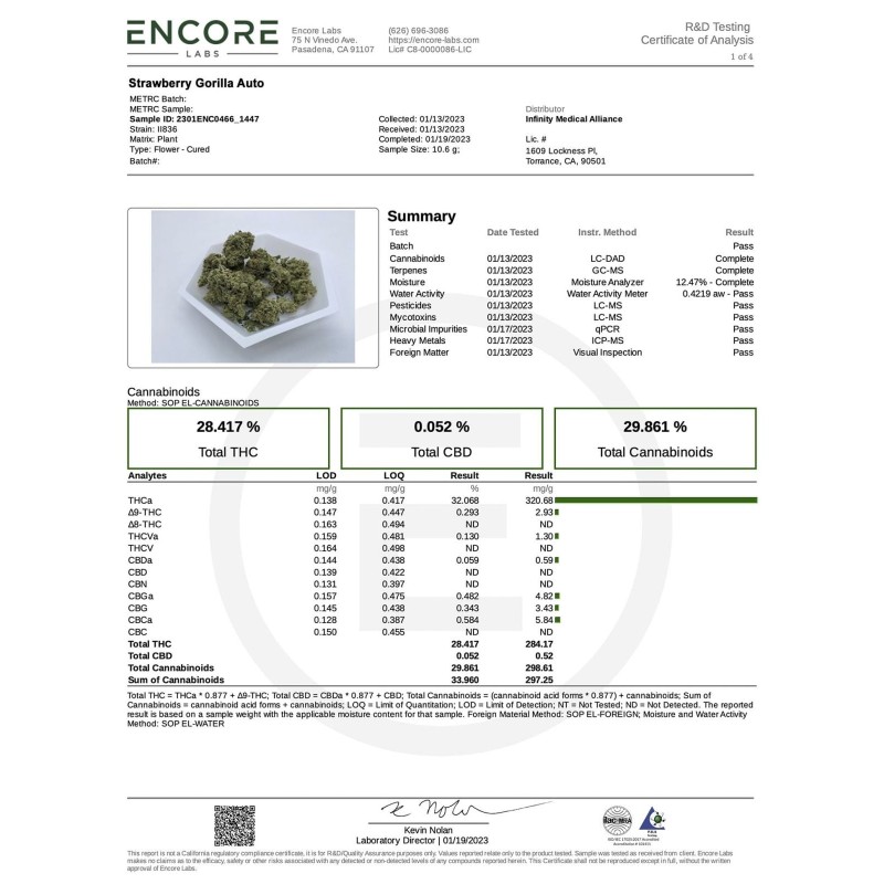 Strawberry Gorilla Auto Fast Buds immagine 6
