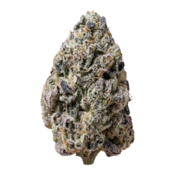Biscotti Gelato Fast Buds immagine 10