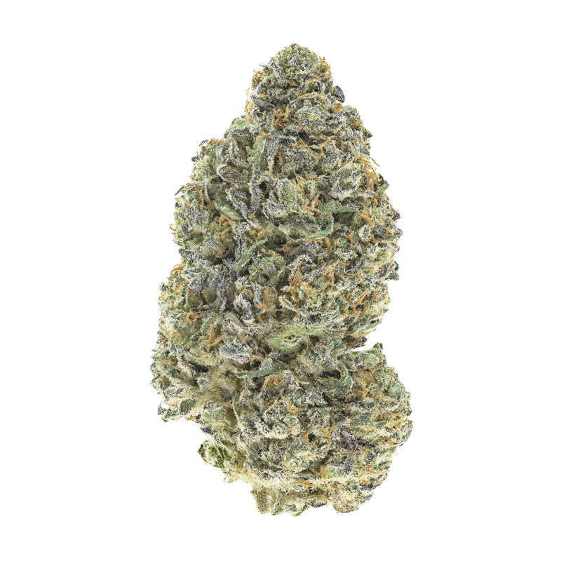 Garlic Mint Sherbet Fast Buds