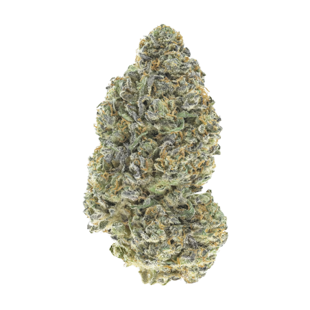 Garlic Mint Sherbet Fast Buds