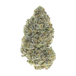 Garlic Mint Sherbet Fast Buds immagine 9