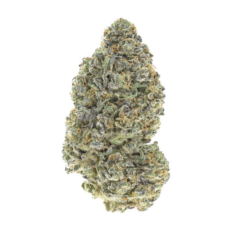 Garlic Mint Sherbet Fast Buds immagine 9