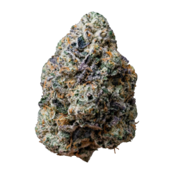 Gary Sherbet Fast Buds