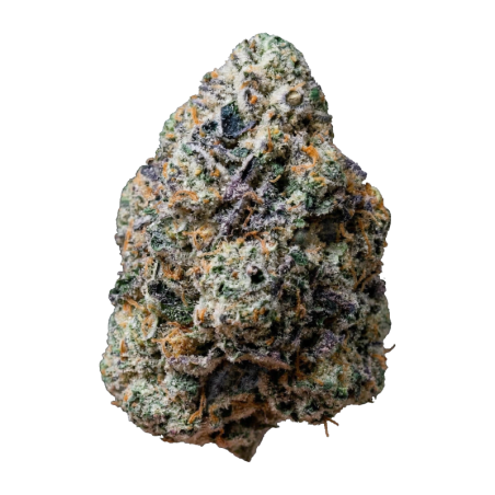 Gary Sherbet Fast Buds