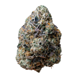 Gary Sherbet Fast Buds immagine 6