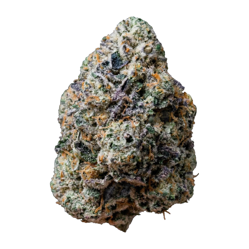 Gary Sherbet Fast Buds immagine 6