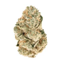 Gorilla Melon Fast Buds