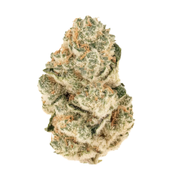 Gorilla Melon Fast Buds immagine 2