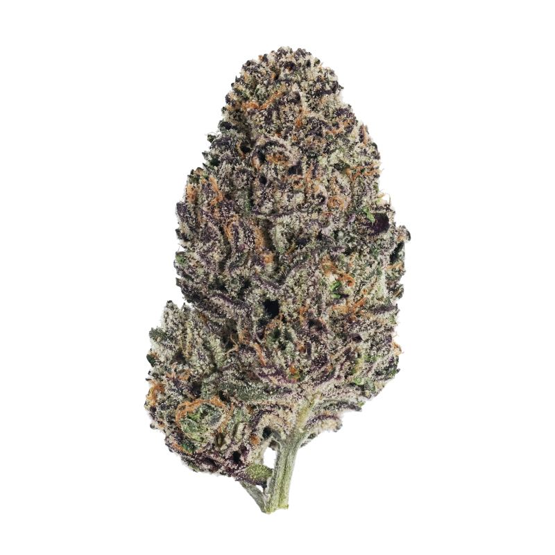 Lemon Cherry Runtz Fast Buds