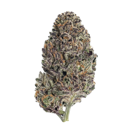 Lemon Cherry Runtz Fast Buds