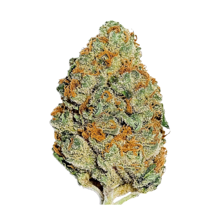 Lemon Mandarin Fast Buds