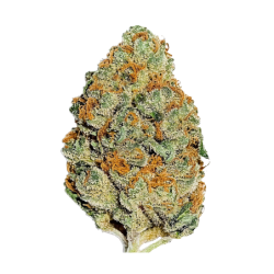 Lemon Mandarin Fast Buds immagine 2