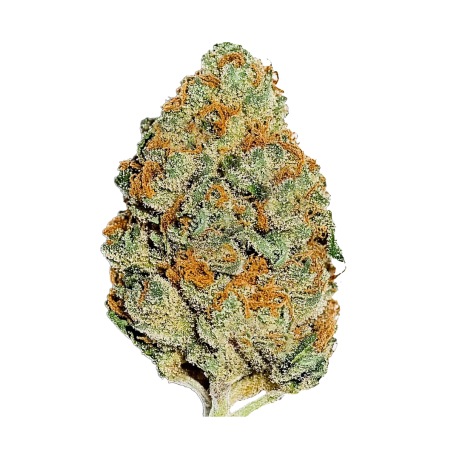 Lemon Mandarin Fast Buds immagine 2