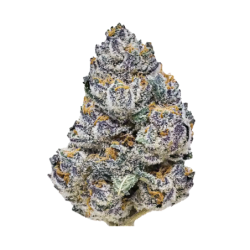 Rainbow Melon Fast Buds