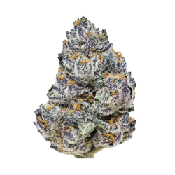 Rainbow Melon Fast Buds immagine 2