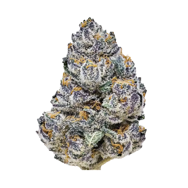 Rainbow Melon Fast Buds immagine 2
