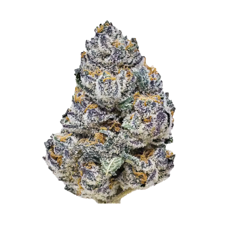 Rainbow Melon Fast Buds immagine 2