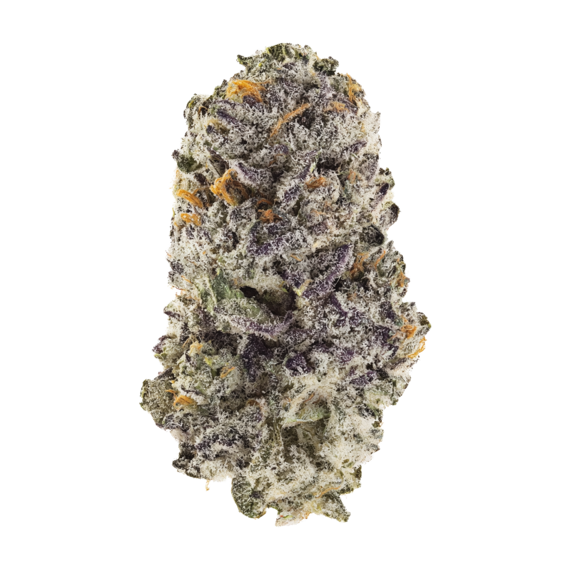 Z42 Fast Buds