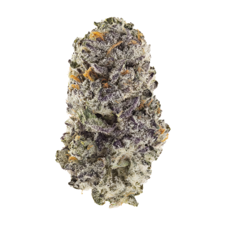 Z42 Fast Buds