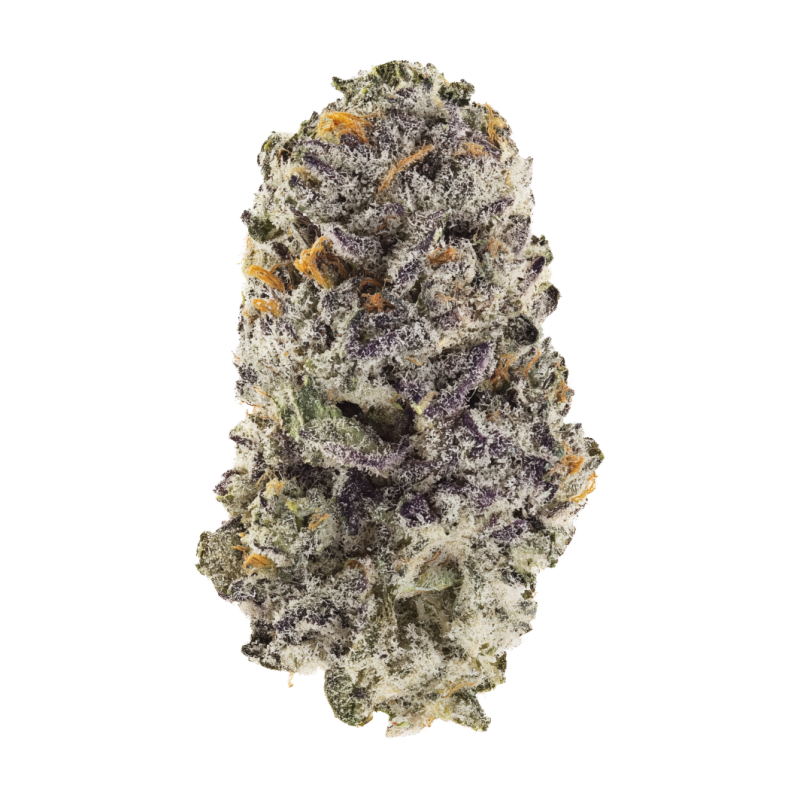 Z42 Fast Buds immagine 9