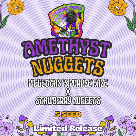 Amethyst Nuggets Mephisto Genetics - cime
