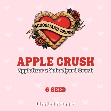 Apple Crush Mephisto Genetics - confezione semi
