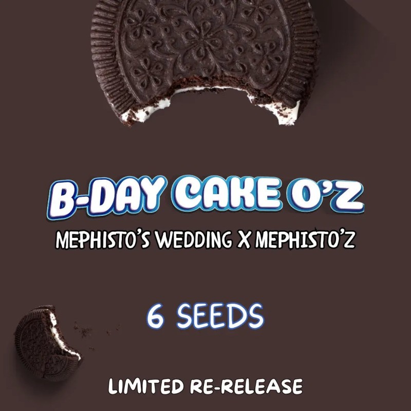 B-day Cake O'z Mephisto Genetics - confezione semi