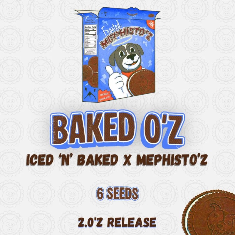 Baked O'z Mephisto Genetics - immagine ufficiale