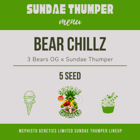 Bear Chillz Mephisto Genetics - cime