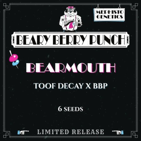 Bearmouth Mephisto Genetics - confezione semi