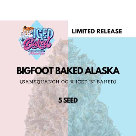 Bigfoot Baked Alaska Mephisto Genetics - cime