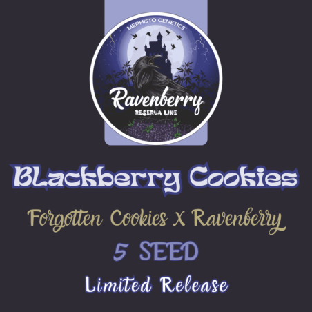 Blackberry Cookies Mephisto Genetics - cime