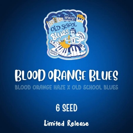 Blood Orange Blues Mephisto Genetics - confezione semi