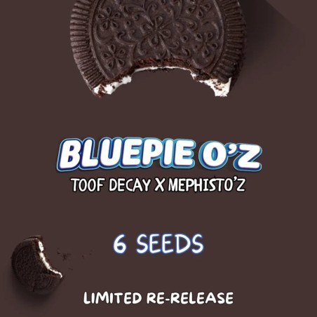 Blue Pie O'z Mephisto Genetics - confezione semi