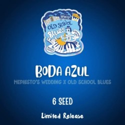 Boda Azul Mephisto Genetics - confezione semi