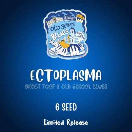 Ectoplasma Mephisto Genetics - confezione semi