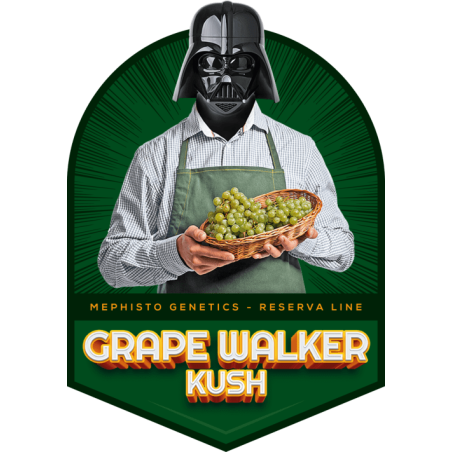 Grape Walker Kush Mephisto Genetics - immagine ufficiale 2