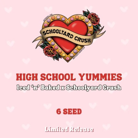 High School Yummies Mephisto Genetics - confezione semi