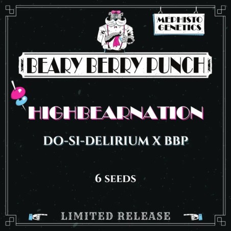 Highbearnation Mephisto Genetics - confezione semi