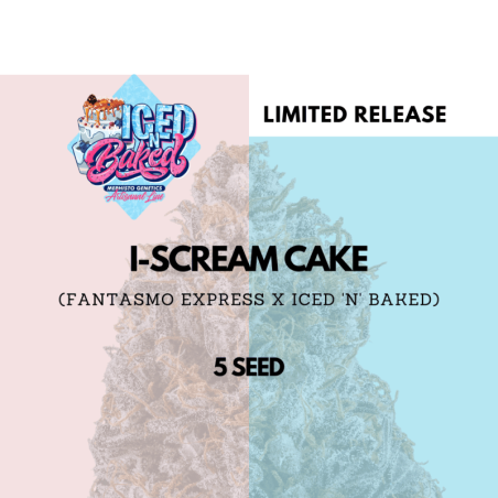 I-Scream Cake Mephisto Genetics - cime